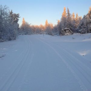 Bilde fra løypetraseen 3. desember.